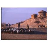 Vintage Kodachrome Photo Slide with Digital Prints