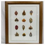 Framed Mixed Media Botanical Artwork by Johanne Ol