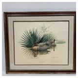 Richard Sloan Green-Winged Teal Framed Art Print A