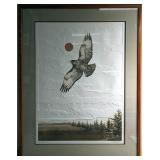 "F20" S&N Eyes Of The Hawk Textured Print