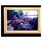 Photograph Lake Highland Orlando, FL