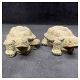 Athens Small Walking Turtle Sage Colored Solid Con