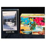Over 75 Florida Sunshine V.S Winter Snow Postcard