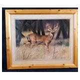 Framed Qua Nature Deer Print