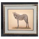 Framed Young Zebra Print By T.H. Farnsworth