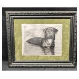 Black & White Photograph Pix n