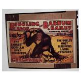 Kodak Transparent 4 X 5 Gargantua The Great Gorill