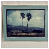 Photograph of Palm Trees Limited Edition 1/7 Signe