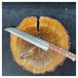 Long Custom Hand-Forged Steel Serrated Knife with