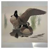 Richard Sloan Canada Goose Framed Art Print Artist