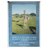 Disney Cast Member Signed Animal Kingdom Poster