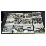 19 Disney The Legend Of Lobo B/W Publicity Photos