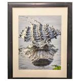 Framed Willie Andrew Brown Boss Of The Lake Gator