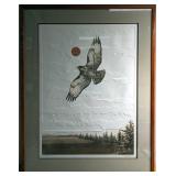 "F20" S&N Eyes Of The Hawk Textured Print