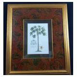 GD Ehret Delin And Sculp Botanical Litho Print