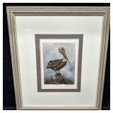 Pelican Dianne Krumel Color Etching Framed Nature