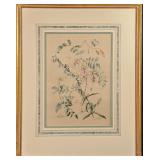 Vintage Framed Botanical Acacia Rose Print