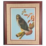 Framed Karl Karalus Limited Edition Signed Hawk Li