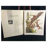 Vintage Wildlife Artist Jim Oliver 'Red Squirrels