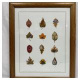 Framed Mixed Media Botanical Artwork by Johanne Ol