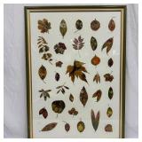 Large Framed Mixed Media Botanical Artwork by Joha