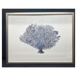Framed Signed & Numbered Artwork Lapis Sea Fan By