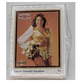 Sideliners Pro Football Cheerleaders Minnesota Vik