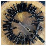 Coral Black Dyed Coral Beads