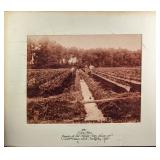 Walt Disney Cast Member Ancestor Farm Photo