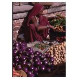 Vintage Kodachrome Photo Slide with Digital Prints