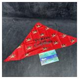 Disney Pirates of the Caribbean Mickey Pirate Band