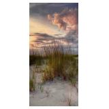 Framed Photograph Of A Genuine Giclee By Cavanah I