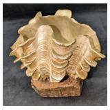 Ruffled Full Large Faux Clam Seashell On A Stand
