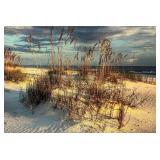 Framed Etta Jean Juge Christ On Horse Photo