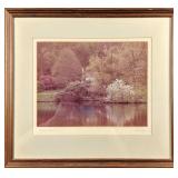 Vintage Framed Botanical Acacia Rose Print