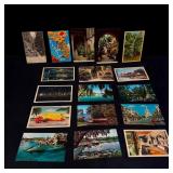 Lot of Vintage FL and New Orleans Postcards