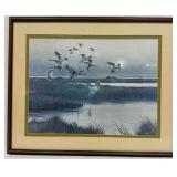 A.J. Rudisill Arriving Pintails Flock of Ducks Fra