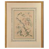 Vintage Framed Botanical Acacia Rose Print