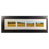 Framed Frank Juge Swamp Sunflowers Photos