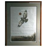 "F20" S&N Eyes Of The Hawk Textured Print