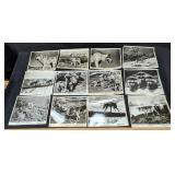 19 Disney The Legend Of Lobo B/W Publicity Photos