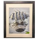 Framed Willie Andrew Brown Boss Of The Lake Gator