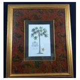 GD Ehret Delin And Sculp Botanical Litho Print