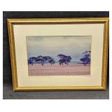 Framed R.S. Newman Ships In A Sea Of Land Photo