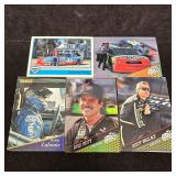 NASCAR Racing Trading Card Lot 120 Pc Petty Wallac
