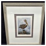 Pelican Dianne Krumel Color Etching Framed Nature