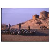 Vintage Kodachrome Photo Slide with Digital Prints