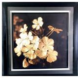 Framed Photograph of Flowers