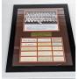 1944 St. Louis Browns Champions 16x20 Auto Display