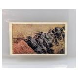 1914 Sweet Caporal Cigarettes WWI Scenes Creased